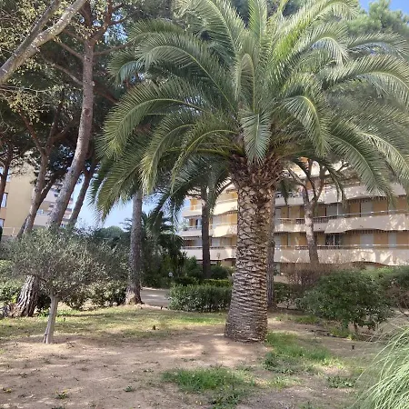 2 Pieces A Avec Piscine, Parking Et A 300m Des Commerces - Fr-1-226a-145 Apartment
